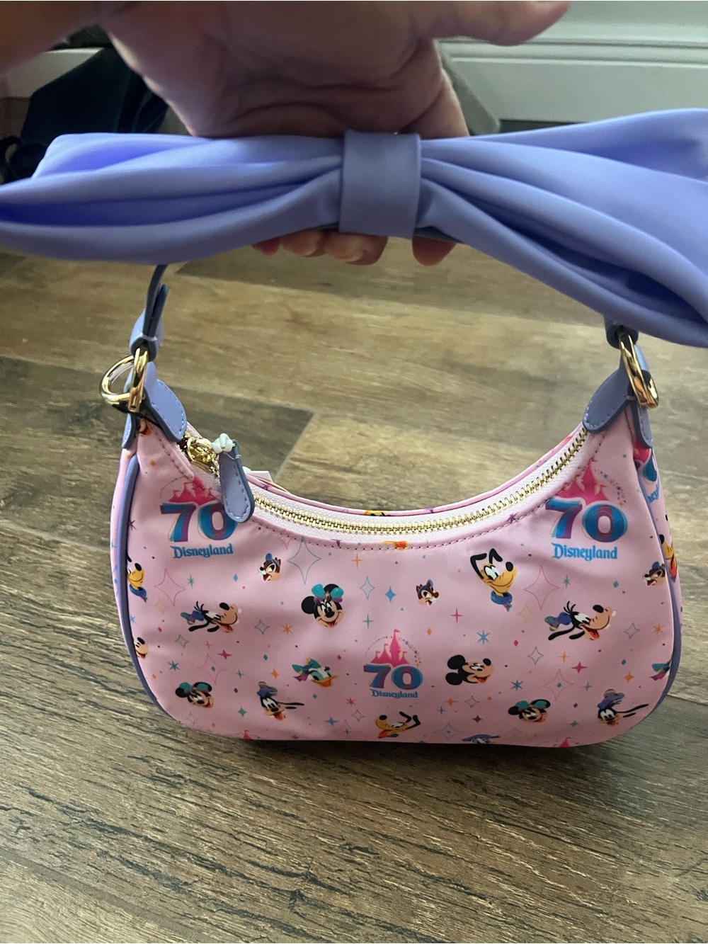 NWT Disney x Stoney Clover Lane Disneyland 70th Anniversary Bow Crossbody Purse